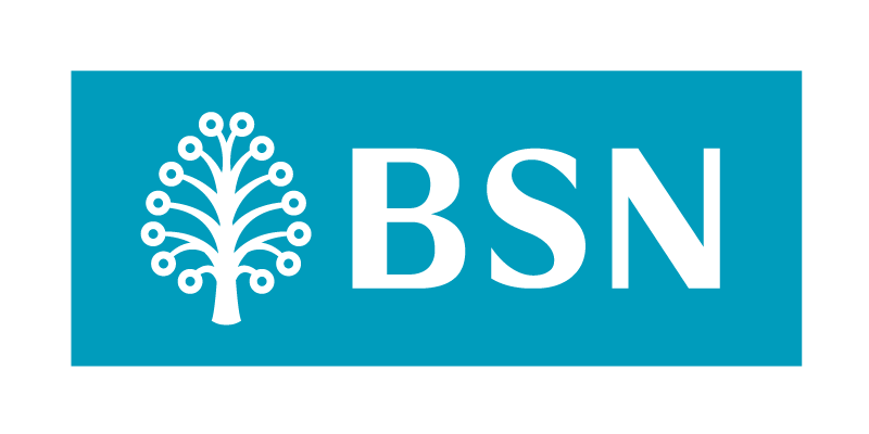 BSN logo