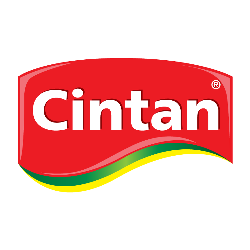 Cintan logo