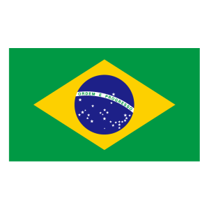 Bandeira do Brasil logo