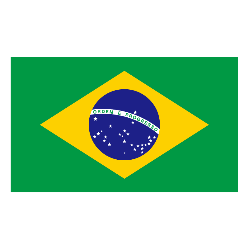Bandeira do Brasil logo